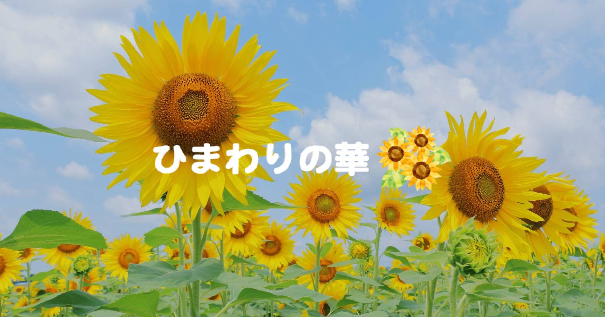 ひまわりの華 | 就労継続支援B型事業所